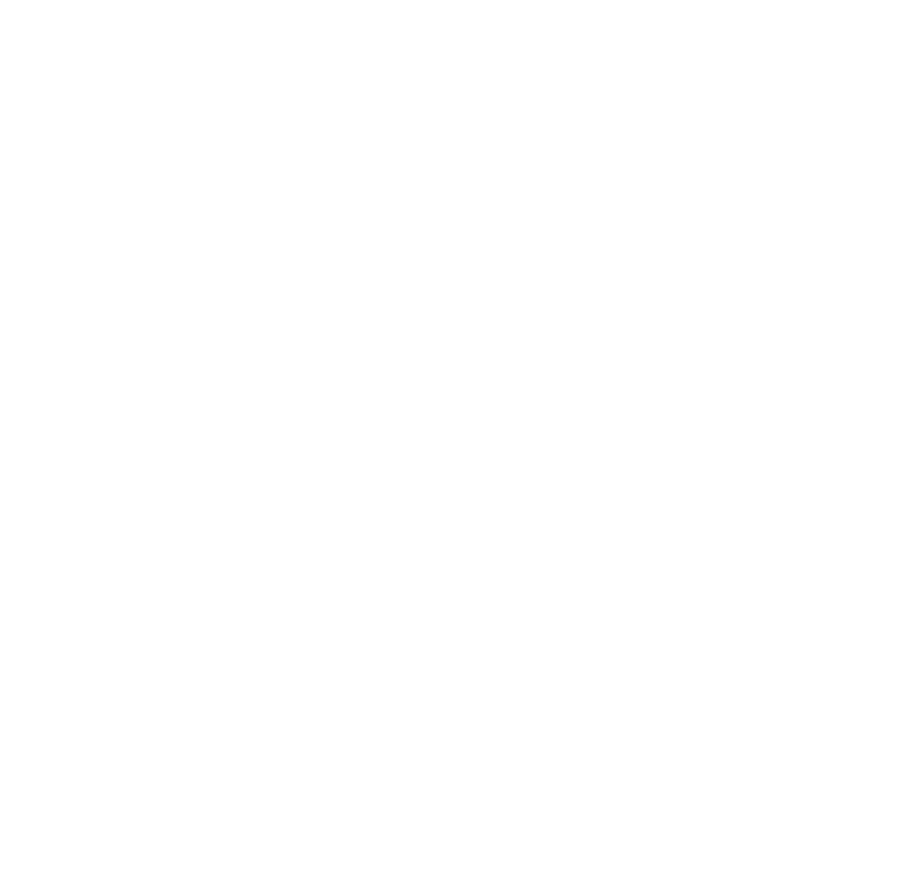 President Illa